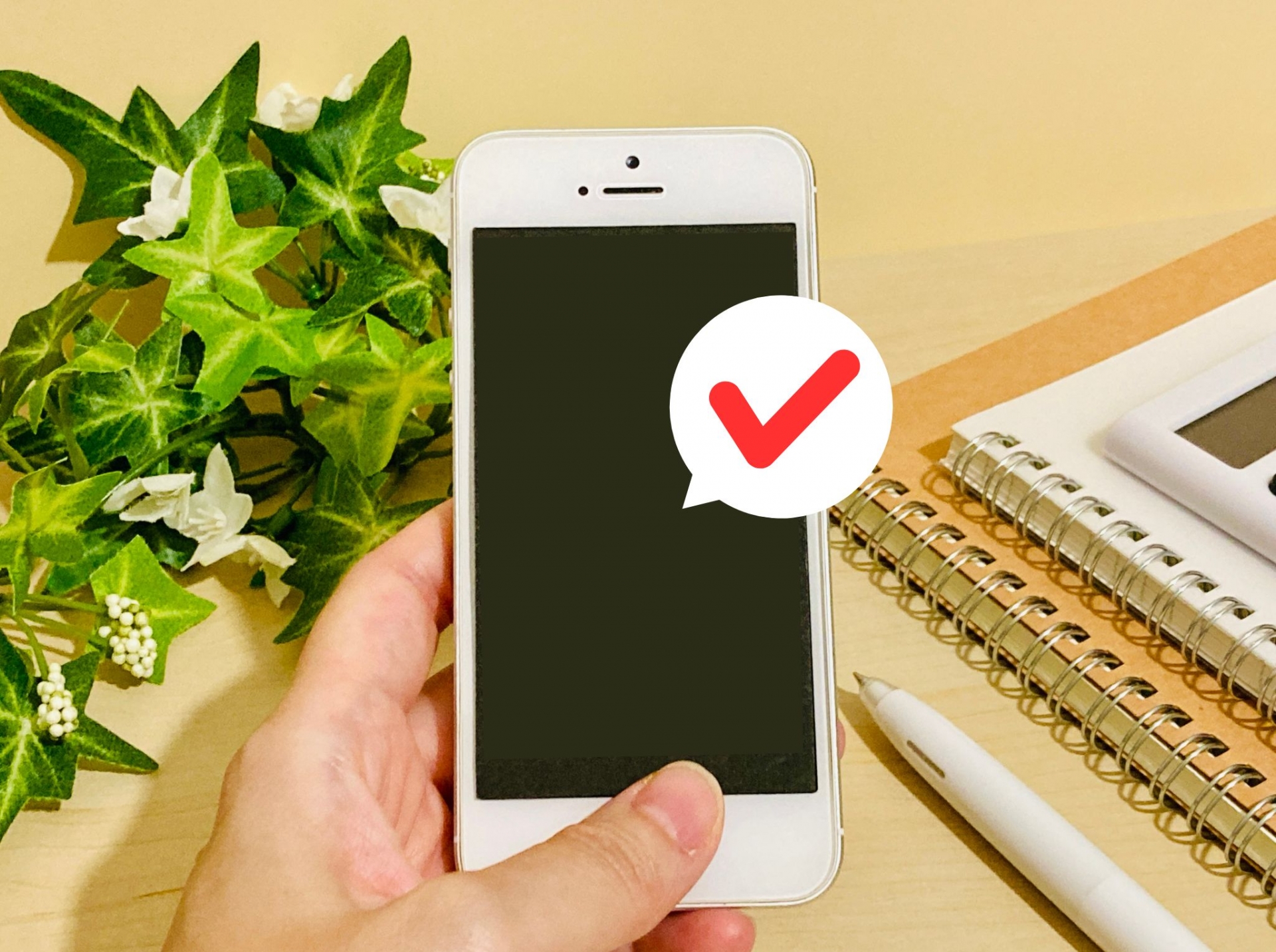 スマホでチケットを確認する様子