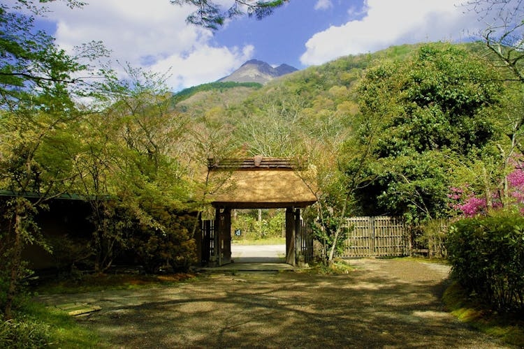 樹齢200年を超える木々に囲まれた亀の井別荘の庭園