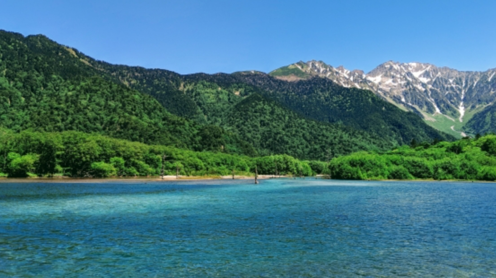 福井の観光スポットを楽しむ家族