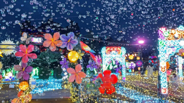 伊豆ぐらんぱる公園の夜のイルミネーション風景