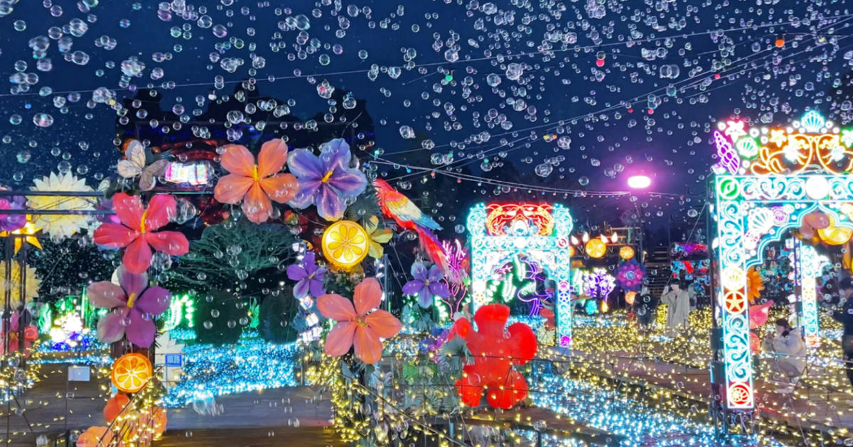 伊豆ぐらんぱる公園の夜のイルミネーション風景