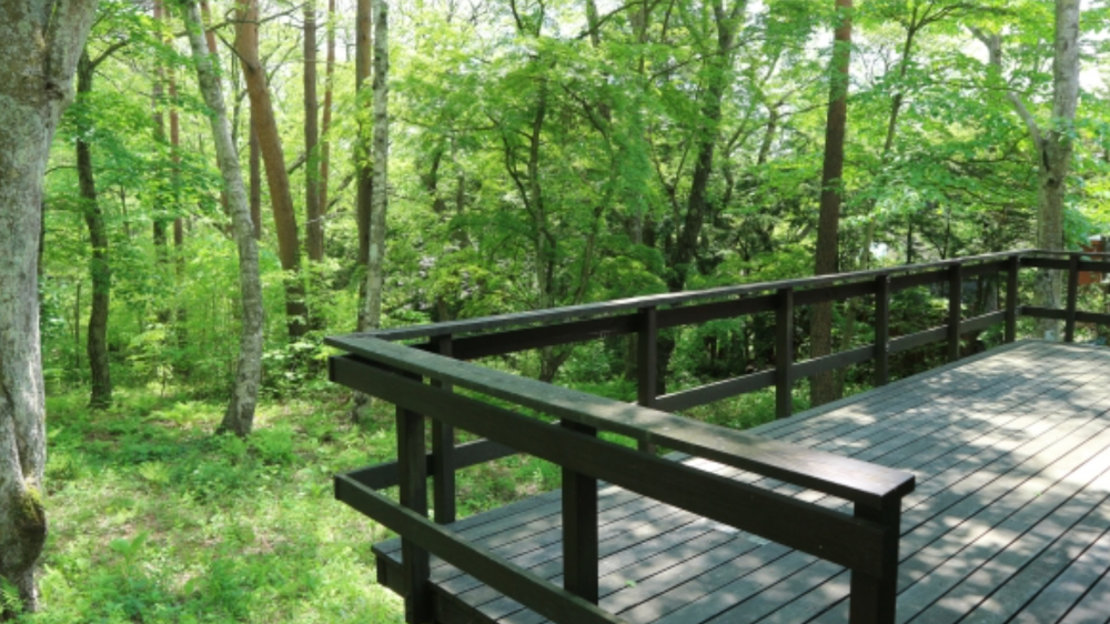 PAWテラスのグランピング施設で過ごす家族とペット