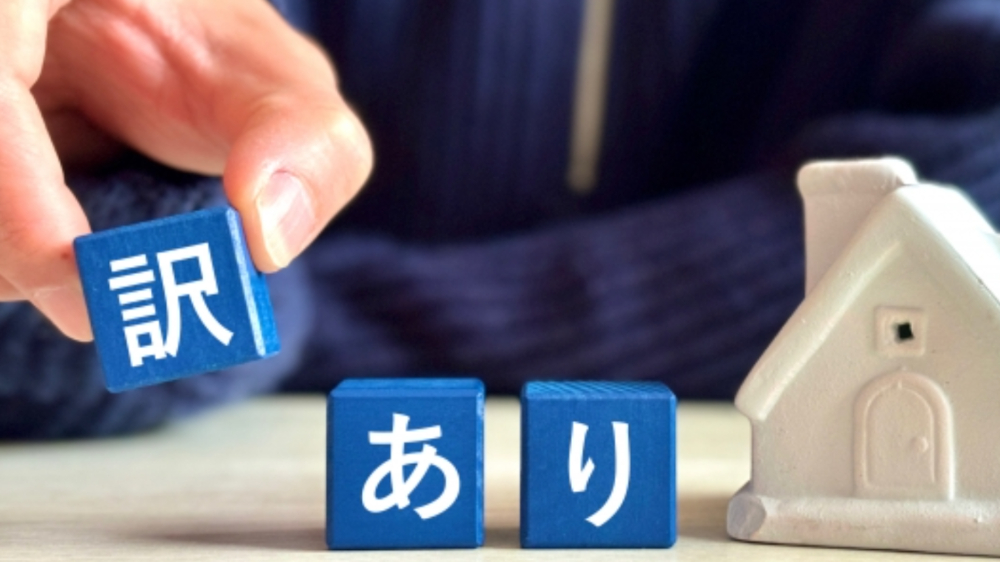 訳ありプランに宿泊した家族の体験談と実際の部屋